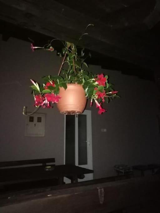 Apartman Adam Rakovica Kültér fotó